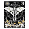 5D Diamantmalerei Schmetterling Set für Anfänger Wanddeko 20-30cm – Farbe FDX3621