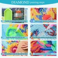 Anime Diamant Zeichenset Apothekerin Tagebücher Stickerei Kunst Geschenk – 6