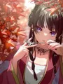 Anime Diamant Zeichenset Apothekerin Tagebücher Stickerei Kunst Geschenk – Farbe XYHK1142-14