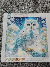Kundenbewertungen – 5D Diamantmalerei Eulen auf Ast mit Kristall und Acryldiamanten