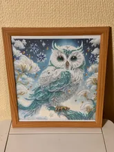 Kundenbewertungen – 5D Diamantmalerei Eulen auf Ast mit Kristall und Acryldiamanten