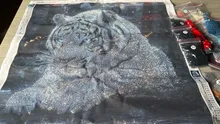 Kundenbewertungen – 5D Diamantmalerei Wald Tiger mit Vollbohrern