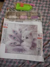 Kundenbewertungen – Diamantbild Fuchs 20x20cm bis 40x40cm