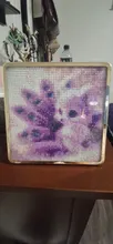Kundenbewertungen – Diamantbild Fuchs 20x20cm bis 40x40cm