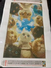 Kundenbewertungen – Diamantbild Hochland Rinder 20 bis 60 cm mit runden oder eckigen Steinen