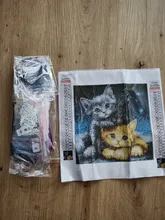 Kundenbewertungen – Diamantmalerei Bär Tier Mond Stickerei 20x20cm bis 50x50cm
