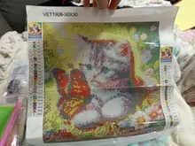Kundenbewertungen – Diamantmalerei Tier Hund Tiger Katze Mosaik Kits 30 x 30 cm