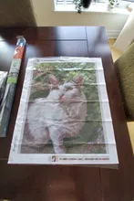 Kundenbewertungen – Foto Diamant Mosaik Voll Platz Runde Malerei Eigenes Foto Stickerei Kit