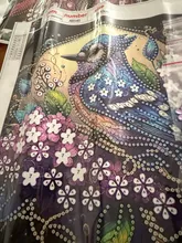 Kundenbewertungen – Spezialform Diamantmalerei Edelstein Kunst für Erwachsene Heimdeko