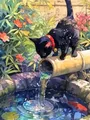 Diamantbild Bambus Katze 20 bis 70 cm mit runden oder eckigen Steinen – Farbe 1207