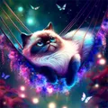 Diamantbild Katze 30 x 40 cm mit runden Steinen – Farbe Hellgrau