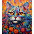 Diamantbild Katze 30 x 40 cm mit runden Steinen – Farbe Orange