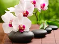 Diamantbild Orchidee 20x30cm bis 50x70cm – Farbe 7392