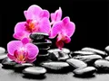 Diamantbild Orchidee 20x30cm bis 50x70cm – Farbe 7395