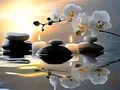 Diamantbild Orchidee 20x30cm bis 50x70cm – Farbe 7398