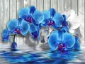 Diamantbild Orchidee 20x30cm bis 50x70cm – Farbe 7399