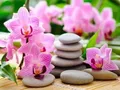 Diamantbild Orchidee 20x30cm bis 50x70cm – Farbe 7403
