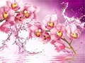 Diamantbild Orchidee 20x30cm bis 50x70cm – Farbe 7414