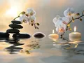 Diamantbild Orchidee 20x30cm bis 50x70cm – Farbe 9285