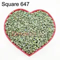 Diamantbild Steine AB 10g bis 500g – Farbe AB Square 647