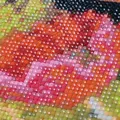 Diamantmalerei Bild 20 cm bis 60 cm quadratisch Blume – 3