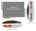 Diamantmalerei Bild 30 cm bis 50 cm quadratisch rund – 4