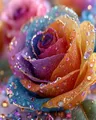 Diamantmalerei Blumen 20 bis 50 cm – Farbe DZDP126270