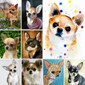 Diamantmalerei Chihuahua Hund Mosaik für Wohnkultur – 1