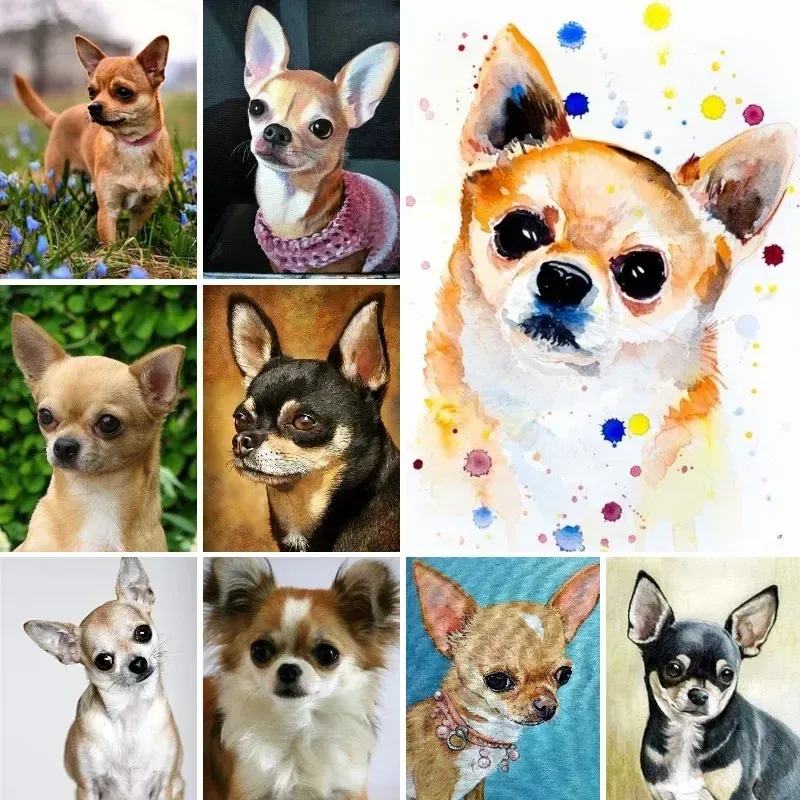 Diamantmalerei Chihuahua Hund Mosaik für Wohnkultur