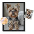 Diamantmalerei eigenes Foto 20 bis 50 cm rund oder quadratisch – 1