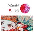 Diamantmalerei eigenes Foto 20 bis 50 cm rund oder quadratisch – Farbe Round