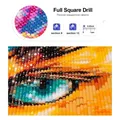 Diamantmalerei eigenes Foto 20 bis 50 cm rund oder quadratisch – Farbe Square