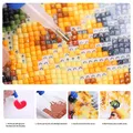 Diamantmalerei eigenes Foto 25 bis 100 cm rund oder quadratisch – 2