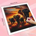 Diamantmalerei Elefant Sonnenuntergang 20 bis 50 cm rund oder quadratisch – 2