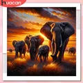 Diamantmalerei Elefant Sonnenuntergang 20 bis 50 cm rund oder quadratisch – 1