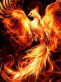 Diamantmalerei Feuer Phoenix Tier Mosaik für Wohnkultur – Farbe Grün (4)