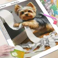 Diamantmalerei Katze Hund Toilette 20x30 bis 40x50 cm – 4
