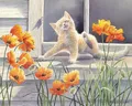 Diamantmalerei Katze Tier Blume 20 bis 70 cm – Farbe Gelb (02)