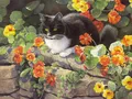 Diamantmalerei Katze Tier Blume 20 bis 70 cm – Farbe hellgelb (12)