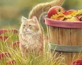 Diamantmalerei Katze Tier Blume 20 bis 70 cm – Farbe mehrfarbig (16)
