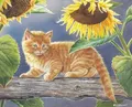 Diamantmalerei Katze Tier Blume 20 bis 70 cm – Farbe Orange (14)