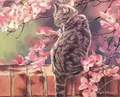 Diamantmalerei Katze Tier Blume 20 bis 70 cm – Farbe Rot (03)