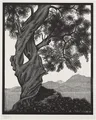 Diamantmalerei Maurits Cornelis Escher Abstrakt 20x25cm bis 50x70cm – Farbe mehrfarbig (21)