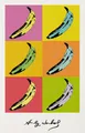 Diamantmalerei Poster Banane Zebra 20 bis 70 cm – Farbe Dunkelgrau (18)