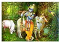 Diamantmalerei Radha Krishna 20 bis 50 cm – Farbe Style 7