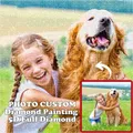 Diamantmalerei Set eigenes Foto 20x20 bis 40x50 cm – 1
