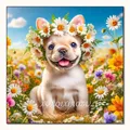 Diamantmalerei Tier Hund Tiger Katze Mosaik Kits 30 x 30 cm – Farbe VET1928