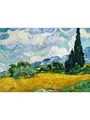 Diamantmalerei Van Gogh Abstrakt Mandelblüten Sternennacht – Farbe Orange (14)