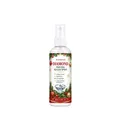 Diamantmalerei Versiegelungsspray 100ml Weihnachts Glanzversiegler – Farbe 100ml