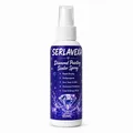Diamantmalerei Versiegelungsspray 60 bis 300 ml Glanzschutz – Farbe 60ml